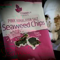 Connect Foods