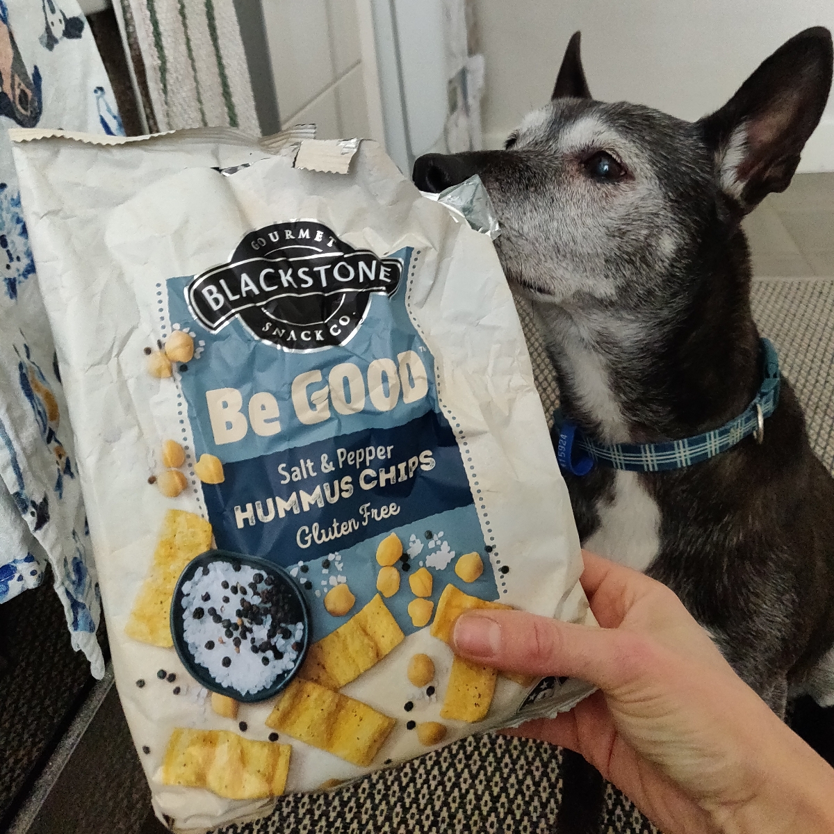 Gourmet Blackstone Snack Co Salt And Pepper Hummus Chips Reviews abillion