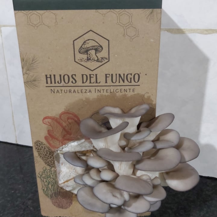 review photo of Hijos del Fungo Kit de cultivo Girgolas Azules shared by @deniseroales on 03 Jan 2022 - review