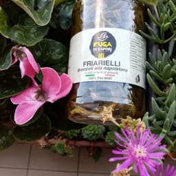 Fuga di sapori