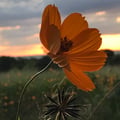 bettinaherr @bettinaherr profile image
