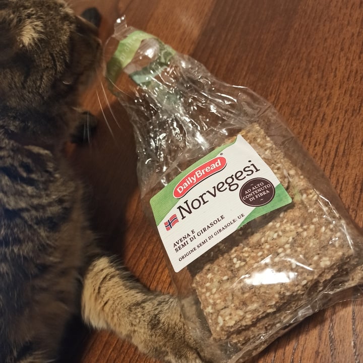 review photo of DailyBread Norvegesi avena e semi di girasole shared by @engi00angi on 08 Jun 2022 - review