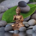 @zenkayaker profile image
