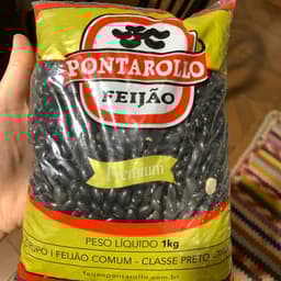Pontarollo