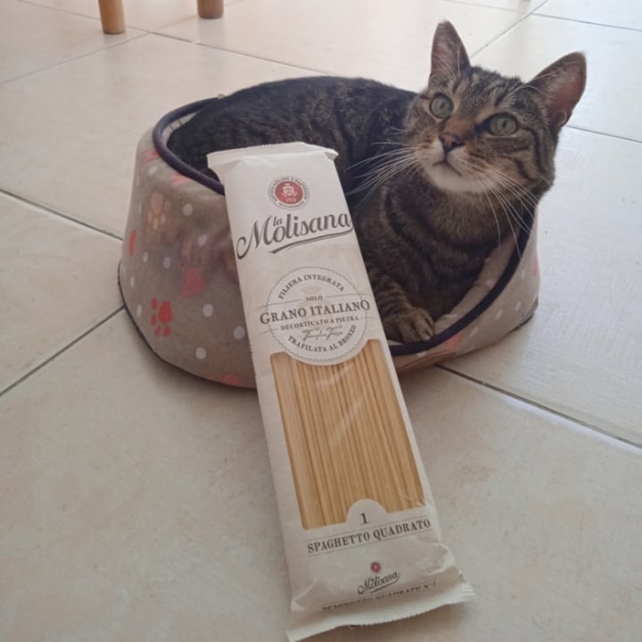 review photo of La Molisana Spaghetti Quadrati shared by @juliaraffellini on 18 Sep 2022 - review