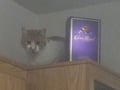 @syzygyrock26 profile image