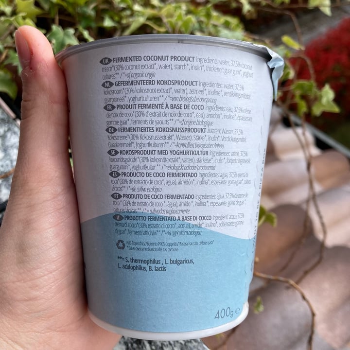 photo of Abbot Kinney’s Coco Daily Delight Natural  shared by @makoto on  12 Apr 2022 - review