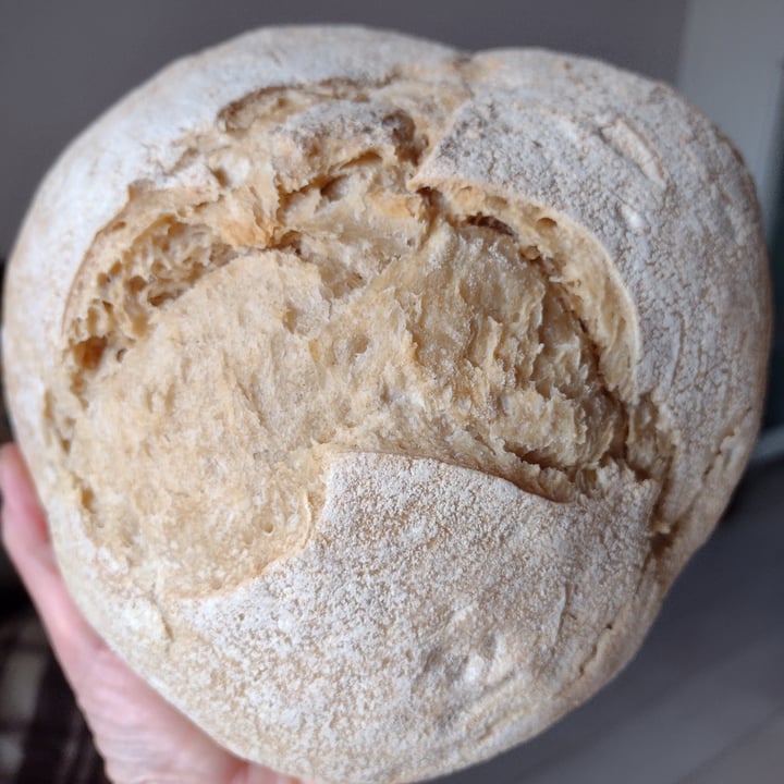 review photo of #paneurbano Pane Grano Tenero Semintegrale shared by @selvatika on 20 Feb 2022 - review