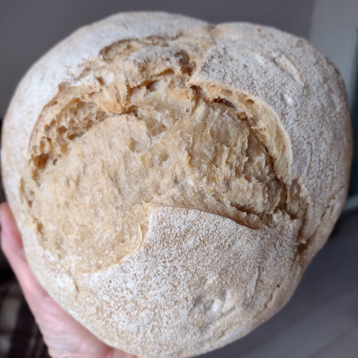 photo of #paneurbano Pane Grano Tenero Semintegrale shared by @selvatika on  20 Feb 2022 - review