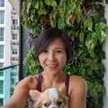 chngshanying @chngshanying profile image