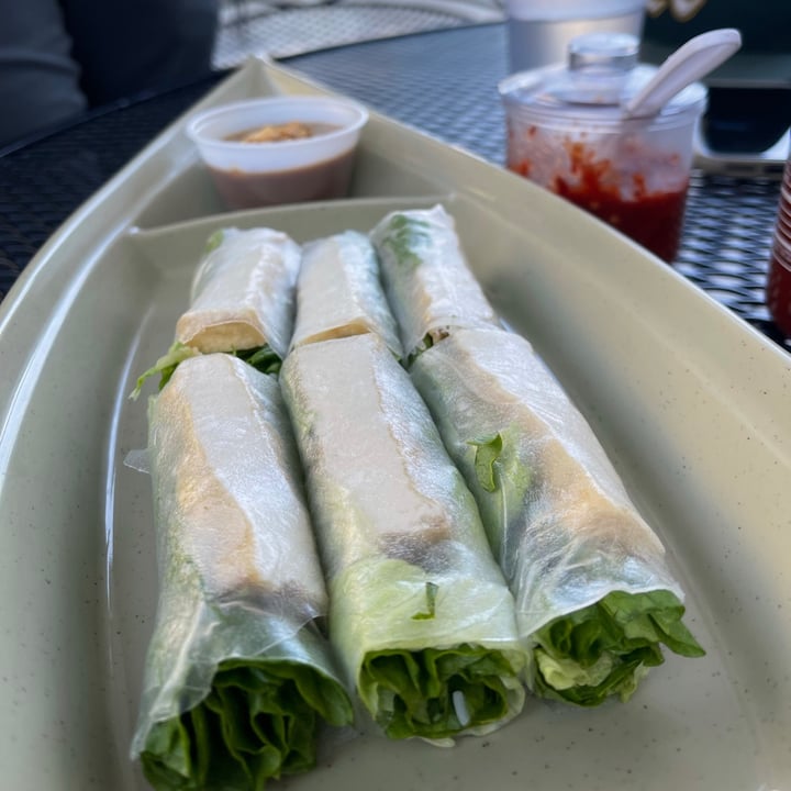 photo of Saigon Village Restaurant Fresh Spring Rolls (tofu) shared by @veganpetite on  12 Jul 2021 - review