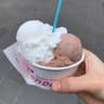 Fenocchio