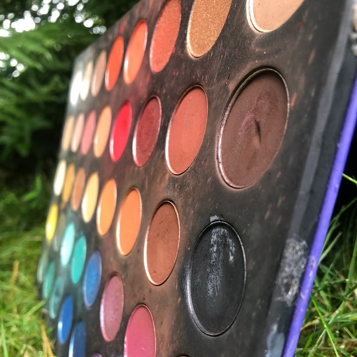 photo of Wet n Wild Beauty 40 Colors Eyeshadow Palette shared by @helpallanimals5238 on  01 Jul 2021 - review