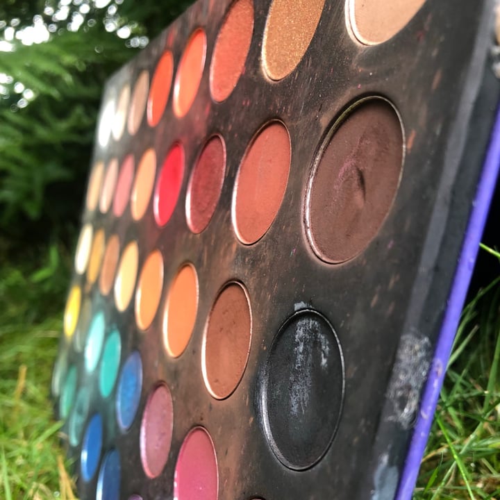 photo of Wet n Wild Beauty 40 Colors Eyeshadow Palette shared by @helpallanimals5238 on  01 Jul 2021 - review