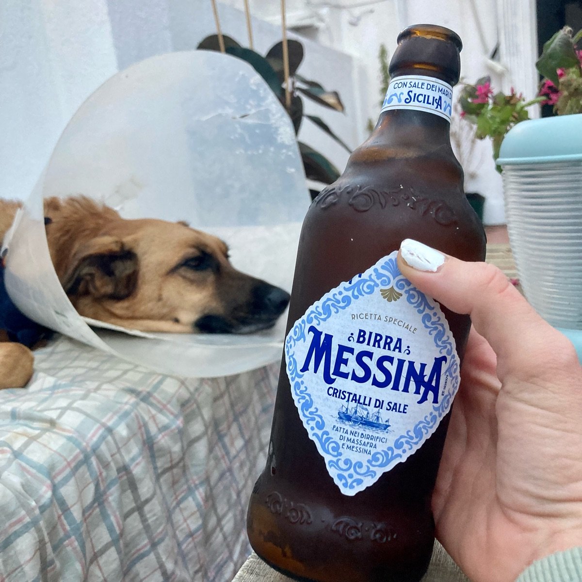 Cristalli Di Sale from Birra Messina Vegan Product Reviews &