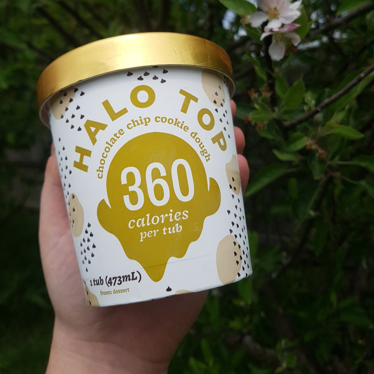 Halo top plant based Halo Top Chocolate Chip Cookie Dough Reviews abillion
