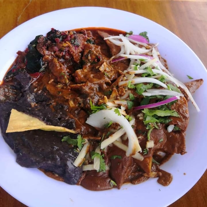 review photo of Nadis Go Vegan Chilaquiles enmolados shared by @jessieurbina on 14 Mar 2021 - review