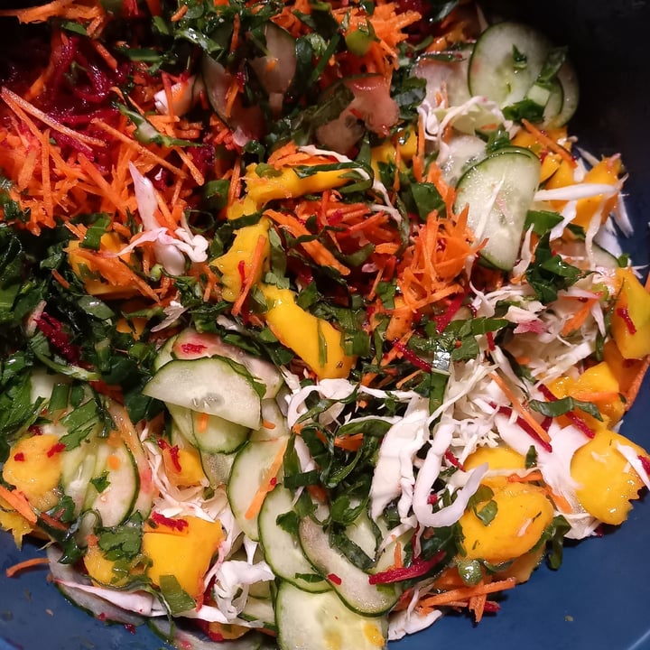 review photo of Lar Sagrado Meu Prato Pretileto. Esse Salada vem Com Manga, Pepino, Repolho, Couve, Cenoura, Biterraba, Chia e Linhaça shared by @suelysilva on 30 Jun 2022 - review