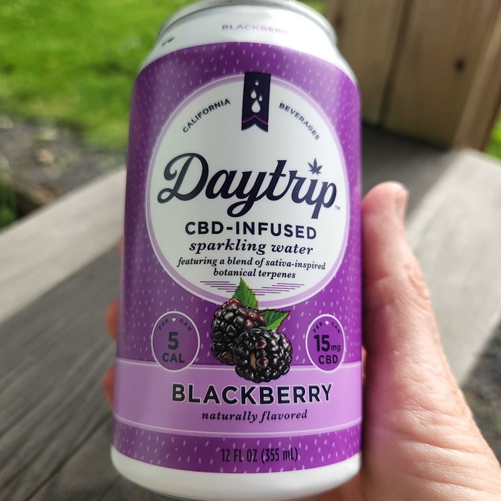 photo of Daytrip Blackberry CBD Infused Sparkling WATER shared by @angebe on  09 Jun 2022 - review