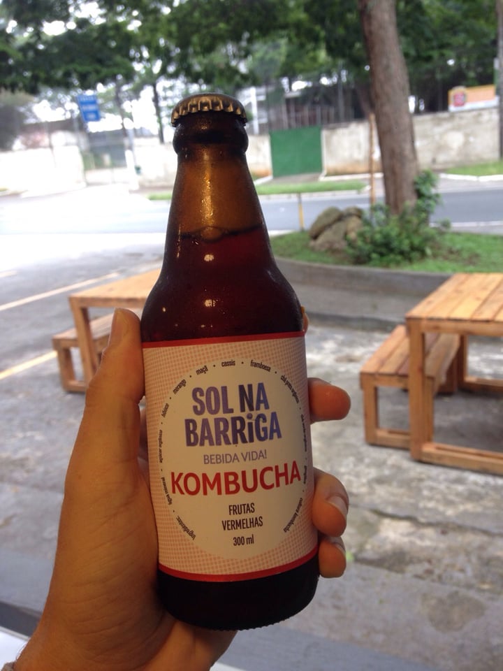 review photo of Sol na Barriga Kombucha de Frutas Vermelhas shared by @joaofontalba on 28 Feb 2020 - review