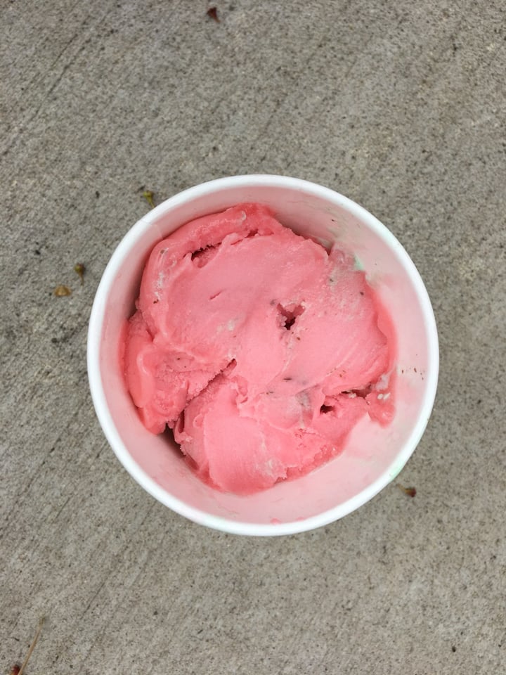 photo of Nelson's Ice Cream Raspberry Italian Ice shared by @jimo-tea on  04 Jul 2019 - review