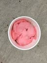 Nelson's Ice Cream