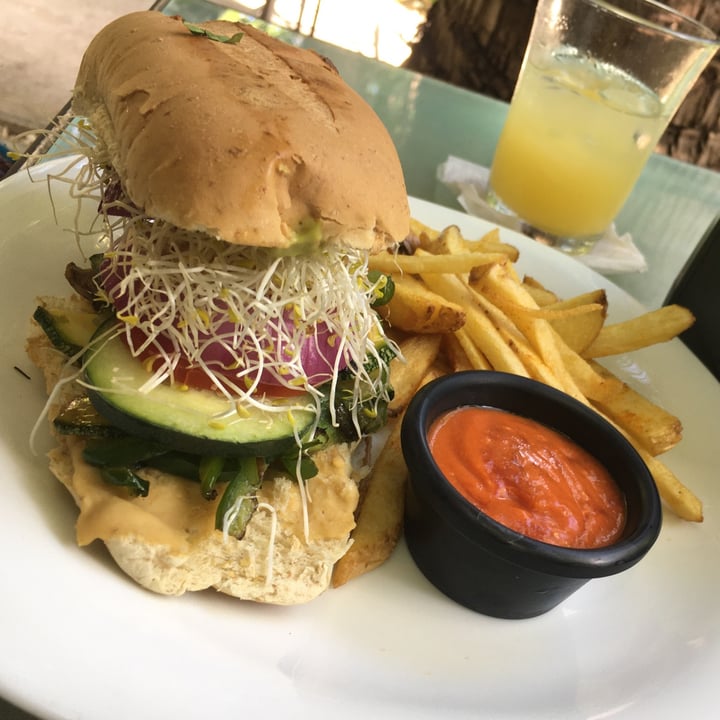 photo of Avocado Vegetariano Miguelito Bufalo shared by @valeria23 on  01 Jun 2021 - review