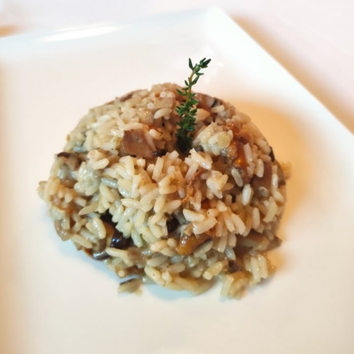 review photo of Hotel Drei Birken risotto con porcini e finferli shared by @ambras on 23 Aug 2022 - review