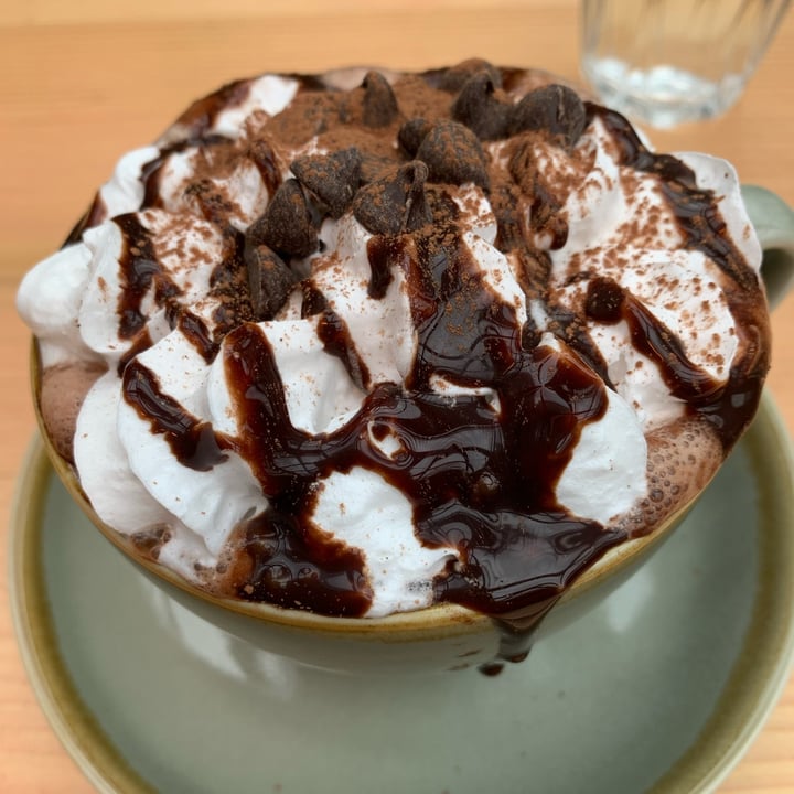 photo of Bonobo Cafe Deluxe Hot Chocolate with Cream, Marshmallows and Choc Chips shared by @cuttingoutthecoo on  23 Oct 2021 - review