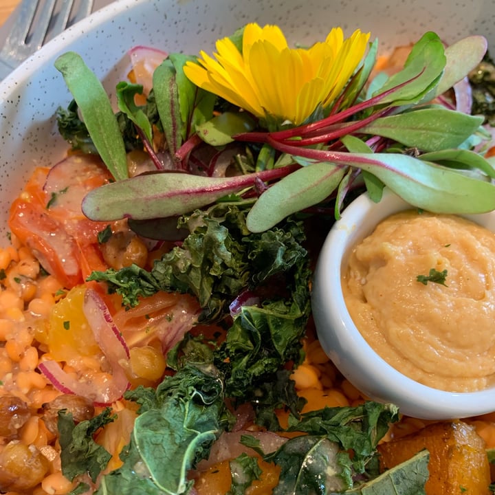 photo of Florido Veggie Salad shared by @sechague on  09 Jul 2022 - review