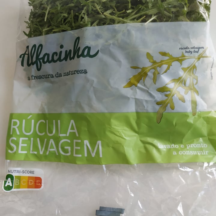 photo of Alfacinha Rúcula Selvagem shared by @silvanaguerreiro on  19 Jun 2022 - review