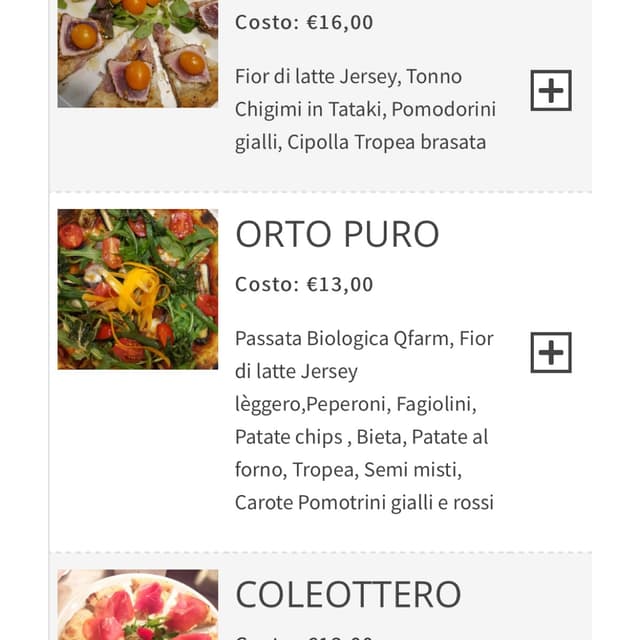 Photo of the dish “pizza orto puro con mozzarella di riso”