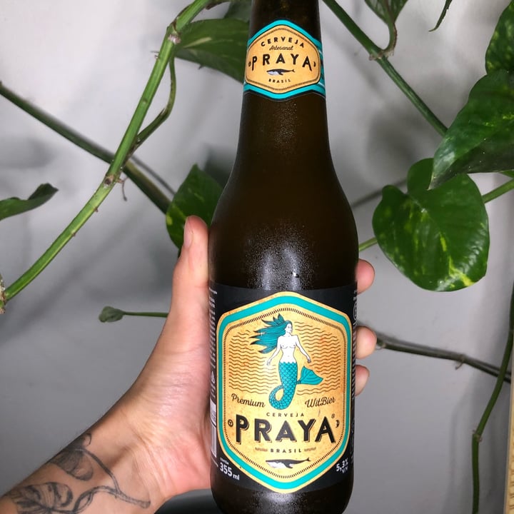 photo of Cerveja Praya Cerveja shared by @luanacdss on  16 Dec 2022 - review