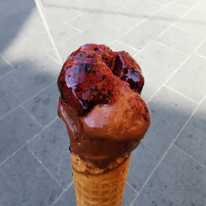 review photo of Gelateria Artigianale Rufus Gelato Mirtilli, Susine E Fondente shared by @nandino on 22 Aug 2021 - review