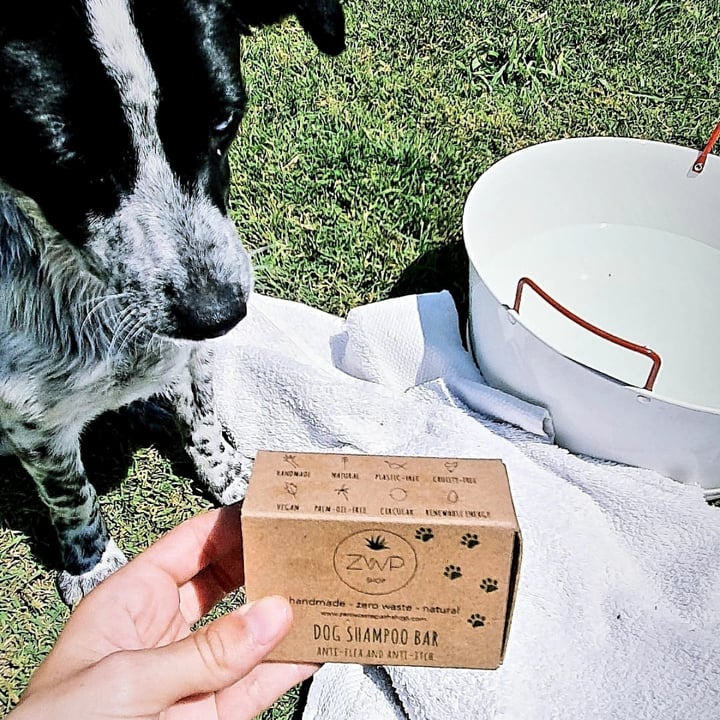 photo of ZWP Dog shampoo bar shared by @alimu on  27 Apr 2021 - review