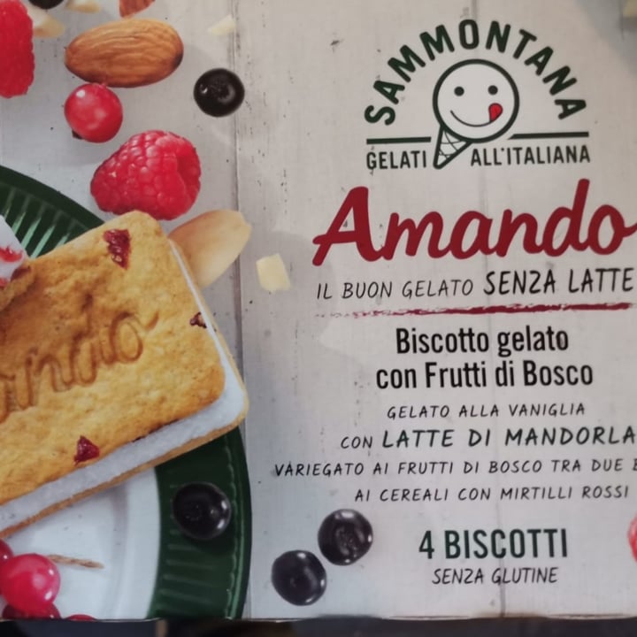 photo of Sammontana Biscotto Amando con Frutti di Bosco shared by @fede78 on  09 Apr 2021 - review