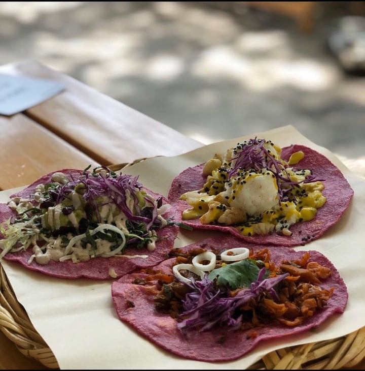 photo of La Pitahaya Vegana Tacos variados shared by @jou269 on  25 Mar 2020 - review