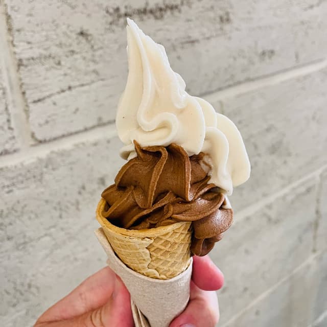 Photo of the dish “Cono De Helado Combinado”