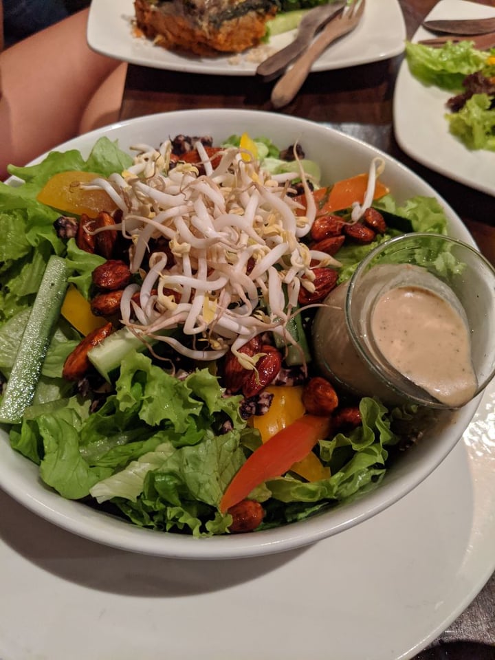 photo of The Seeds of Life Rainbow Salad shared by @paloma on  25 Feb 2020 - review