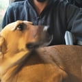 emmave @emmave profile image