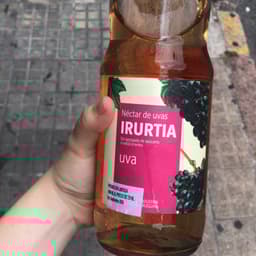 Irurtia