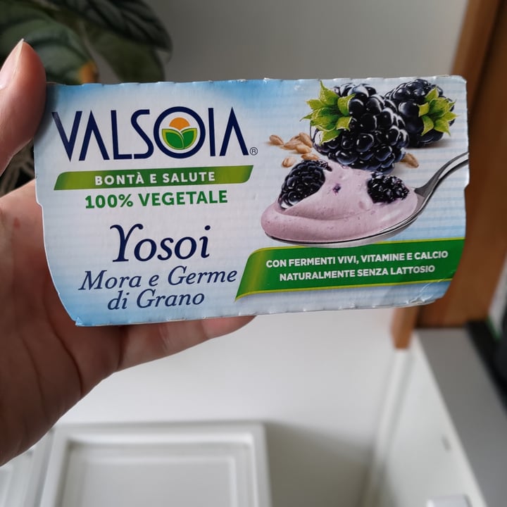 review photo of Valsoia Yogurt ai Mirtilli shared by @fralepiante on 22 Jun 2022 - review