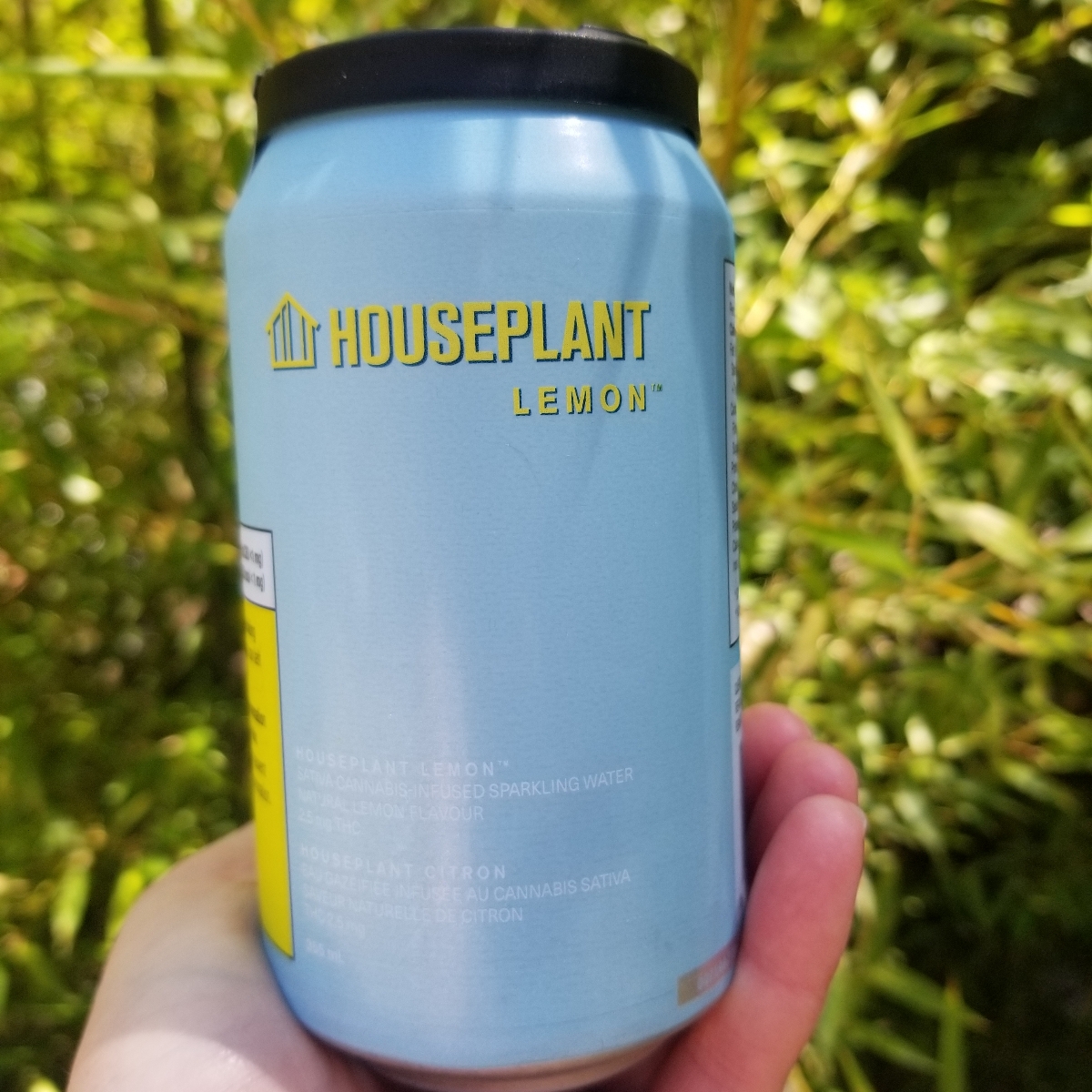 Houseplant Lemon Sativa Cannabis Infused Sparkling Water Reviews abillion