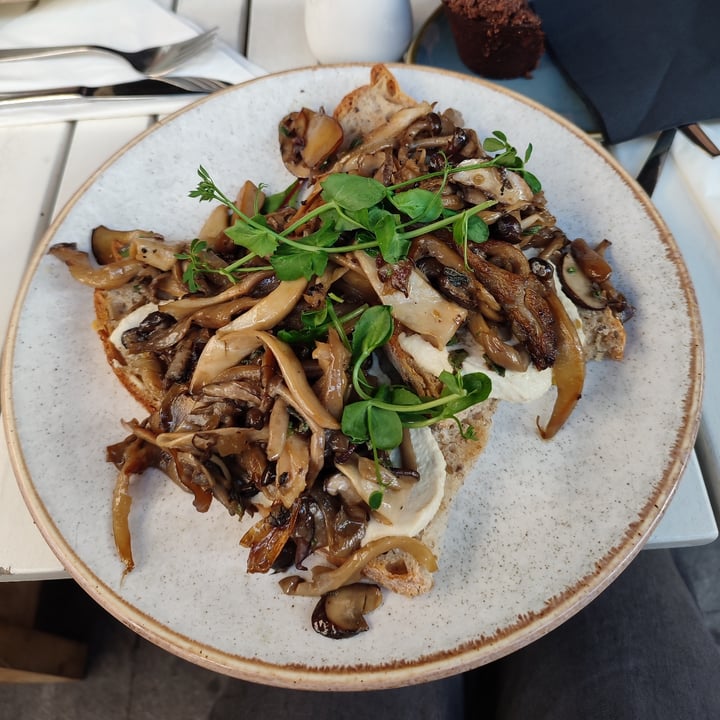 review photo of Dignita Hoftuin Forest Dwellers shared by @sopheen on 05 Dec 2022 - review