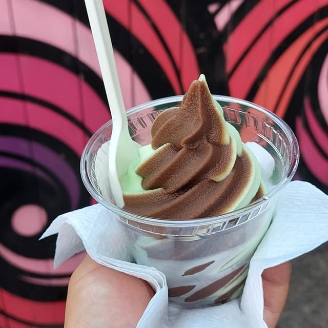 Photo of the dish “Soft serve - chocolate mint swirl”