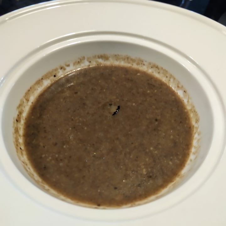 photo of Joie Infusion of Cepes and Truffle shared by @windgal on  04 Mar 2021 - review