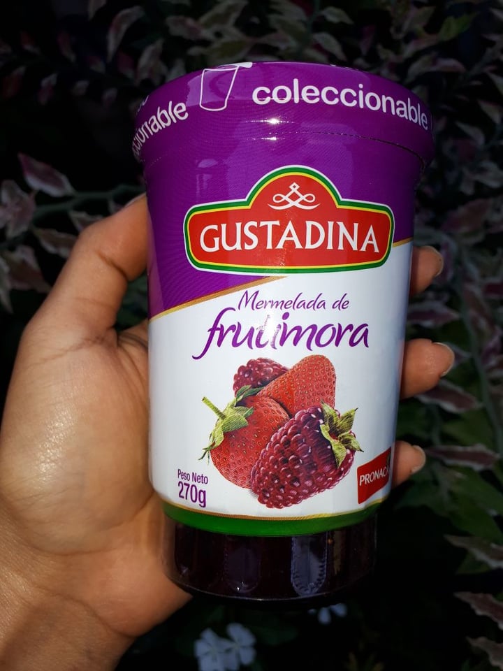 photo of Gustadina GUSTADINA Mermelada de frutimora shared by @violeta on  16 Sep 2019 - review