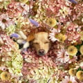 rondeboschvegan @rondeboschvegan profile image