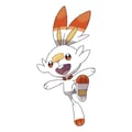 avatar of scorbunny