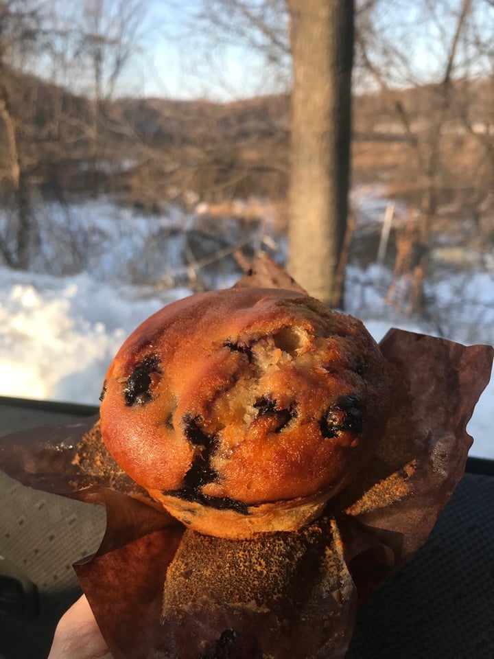 photo of Whole Foods Market Vegan Blueberry Muffin shared by @dianna on  14 Dec 2019 - review
